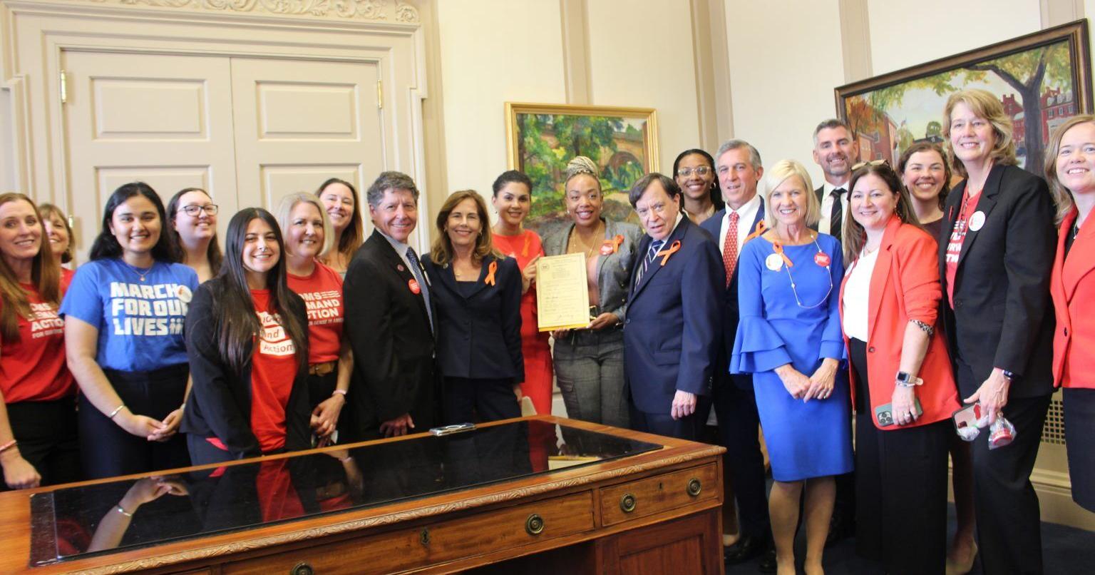 Permit-to-purchase handgun bill becomes law in Del., but faces court challenge - Vimarsana News