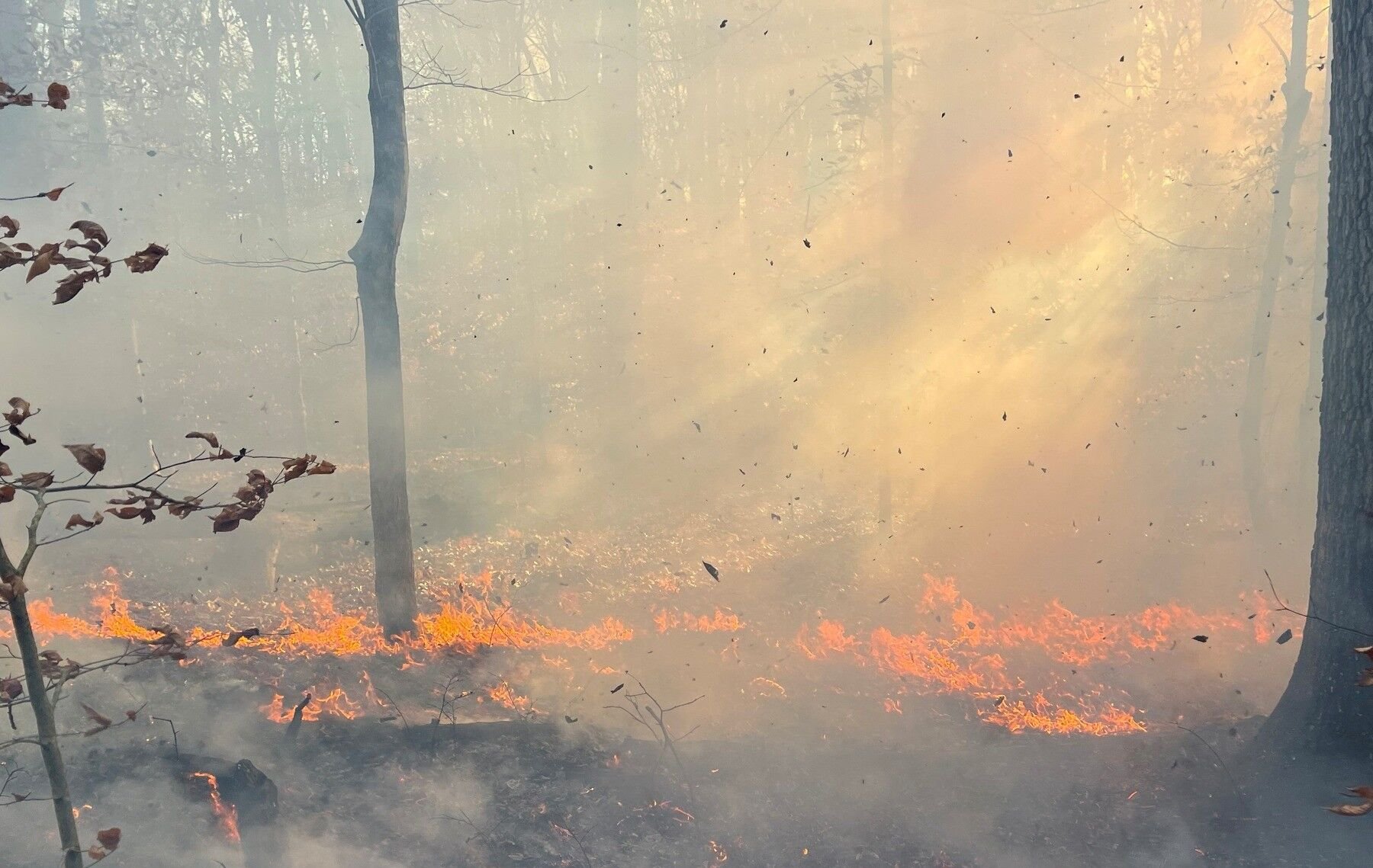 Gusty winds fuel Glasgow fire