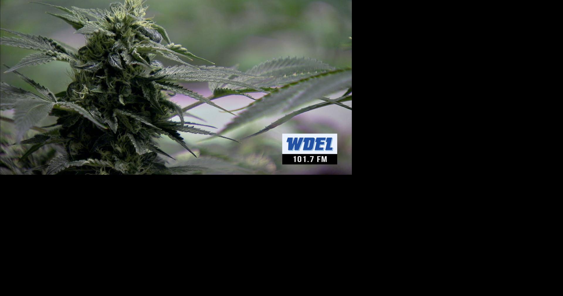 ‘Long overdue’ | Delaware Senate passes marijuana legalization, sending it Carney’s desk