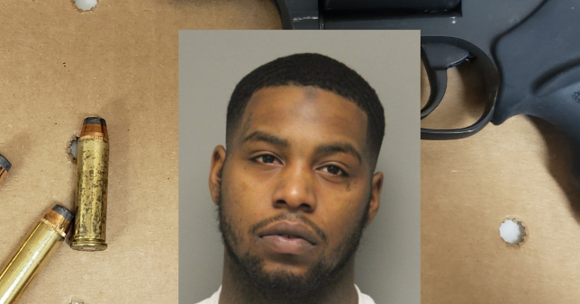 New Jersey man charged after traffic stop leads to foot chase, gun ...