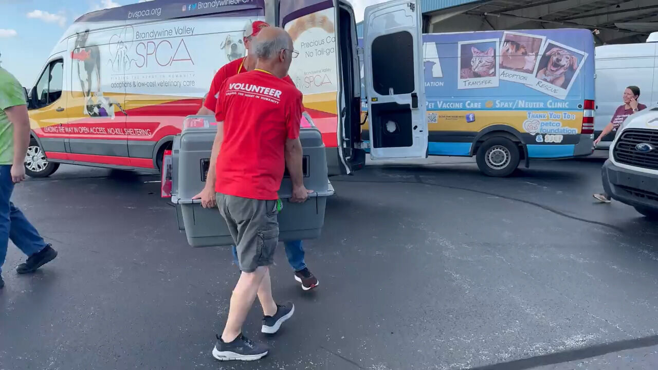 BVSPCA rescues dogs and cats from flood-ravaged Texas