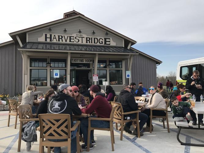 VIDEO The Harvest Ridge Food Truck Competition saw over 20 food