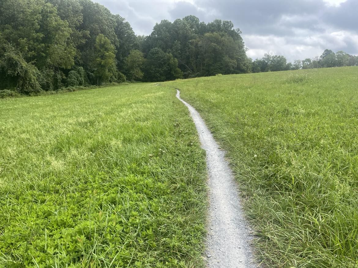 New Castle County considering zoning protections for parks