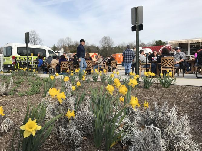 VIDEO The Harvest Ridge Food Truck Competition saw over 20 food