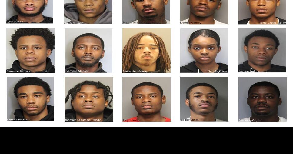 Wilmington Police announce 16 arrests, 145 charges in yearlong, multi