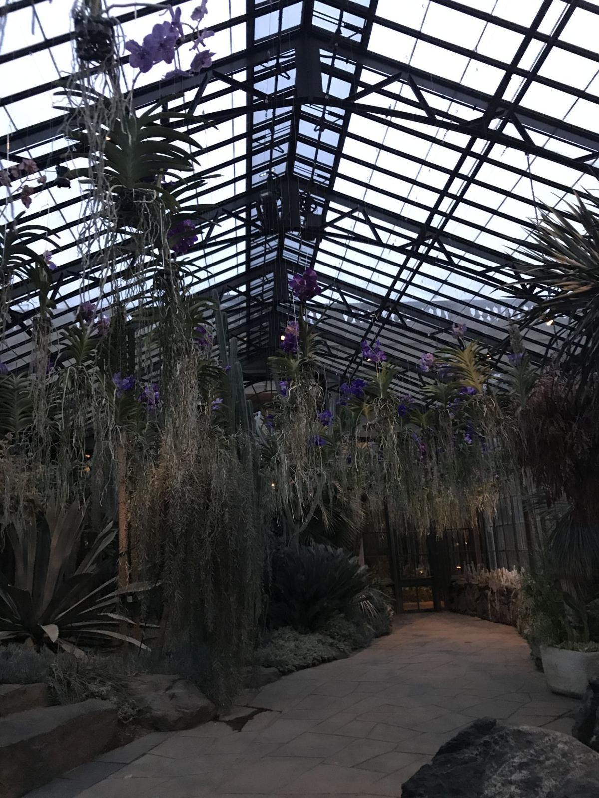 Video Escape Those Winter Blues At Longwood Gardens New Debut