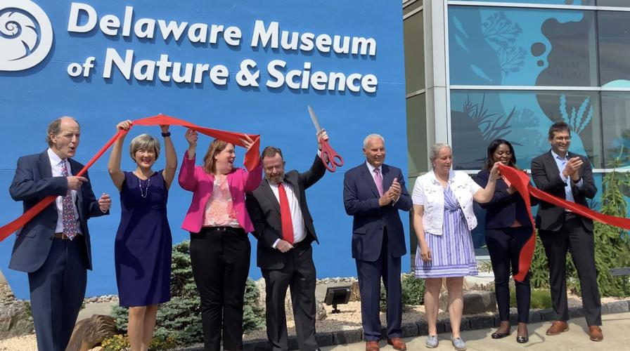 A labor of love' | Revamped Delaware Museum of Nature and ...