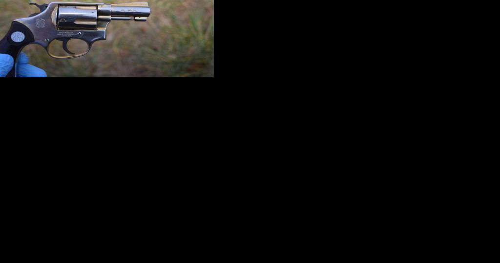 Accused felons carrying guns could be denied bail under proposed Delaware GOP Constitutional Amendment - Vimarsana News