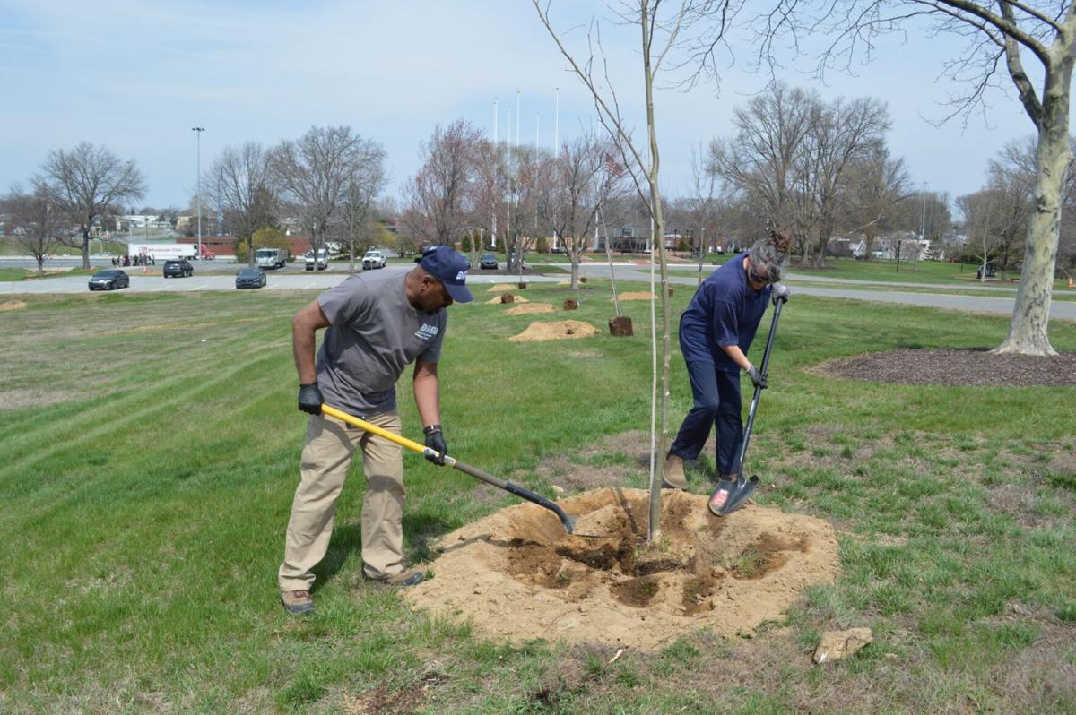 Tree Workforce Development Tree planting branches into workforce development | The Latest from ...