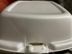 Delaware restaurants to be banned from offering polystyrene take-out containers starting in mid-2025