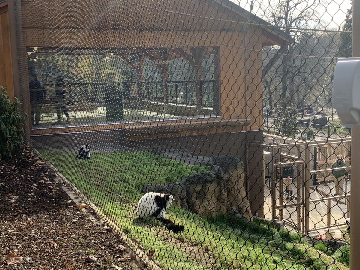 'I love to see these funny little animals' Brandywine Zoo unveils