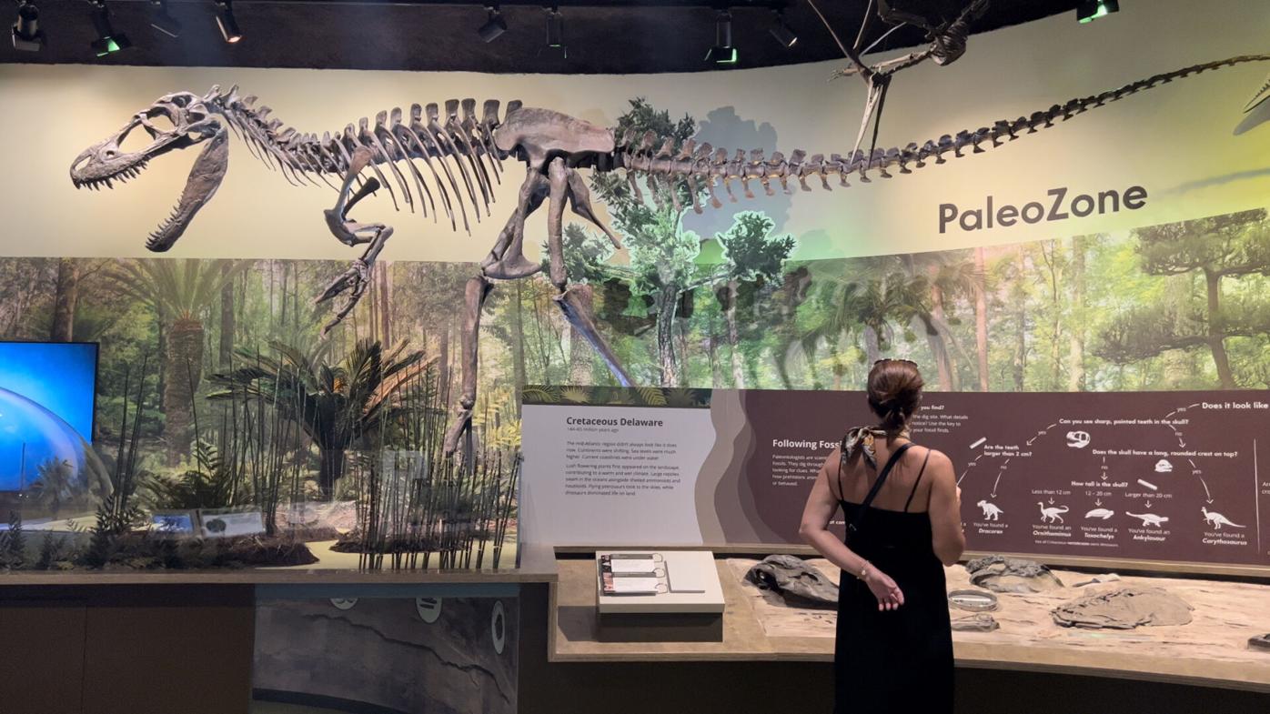 A labor of love' | Revamped Delaware Museum of Nature and ...
