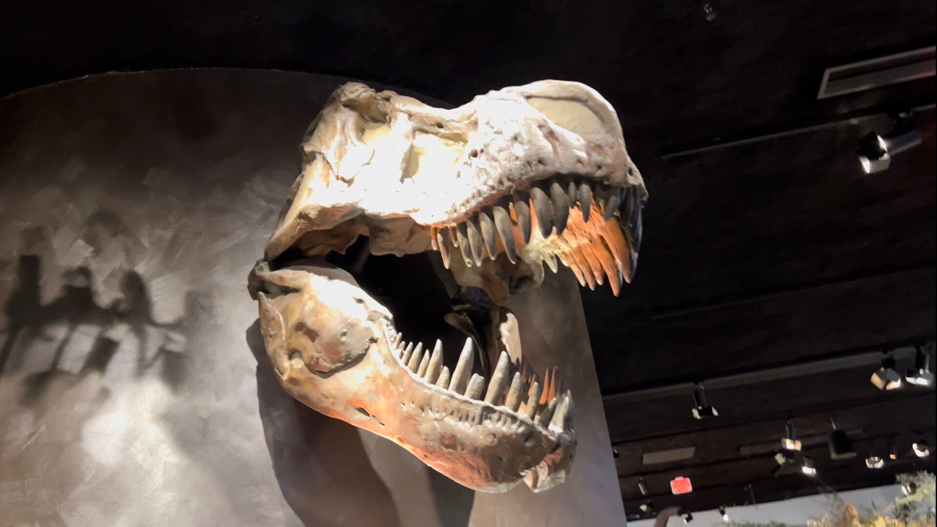 Night at the Museum: A Wilmington sleepover with stars, dinosaurs and monsters