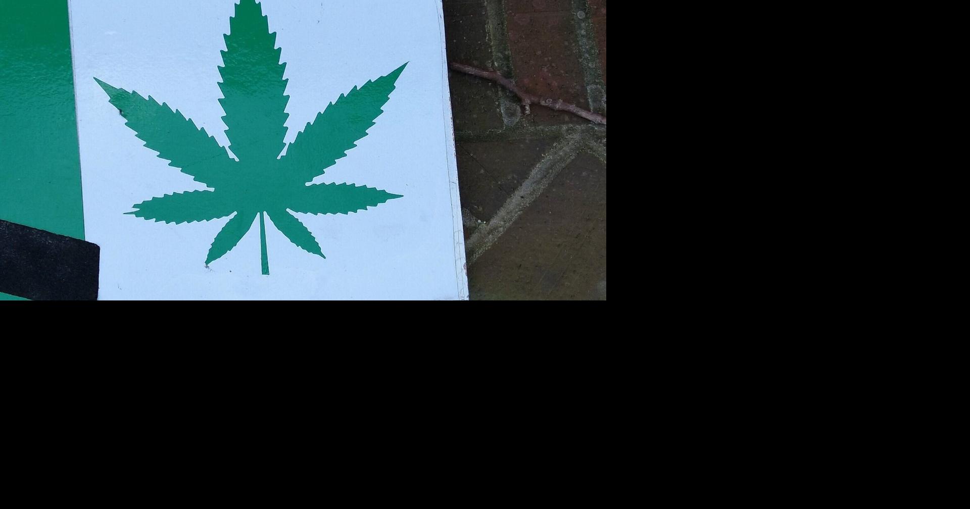 Delaware legislators override governor's veto of marijuana regulation bill