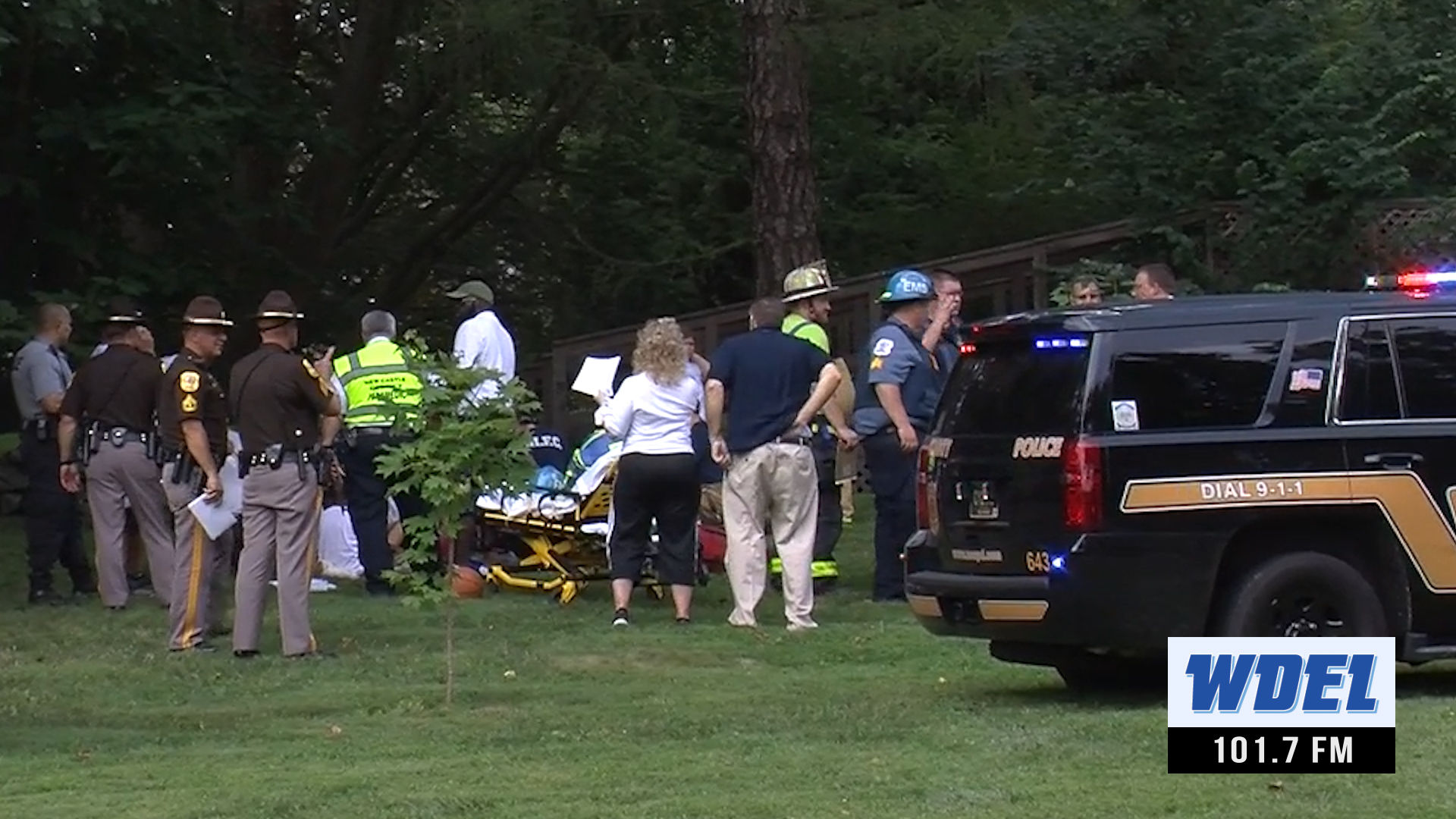 VIDEO: A Dozen Kids Stung By Wasps At Brandywine Hundred Park | The ...