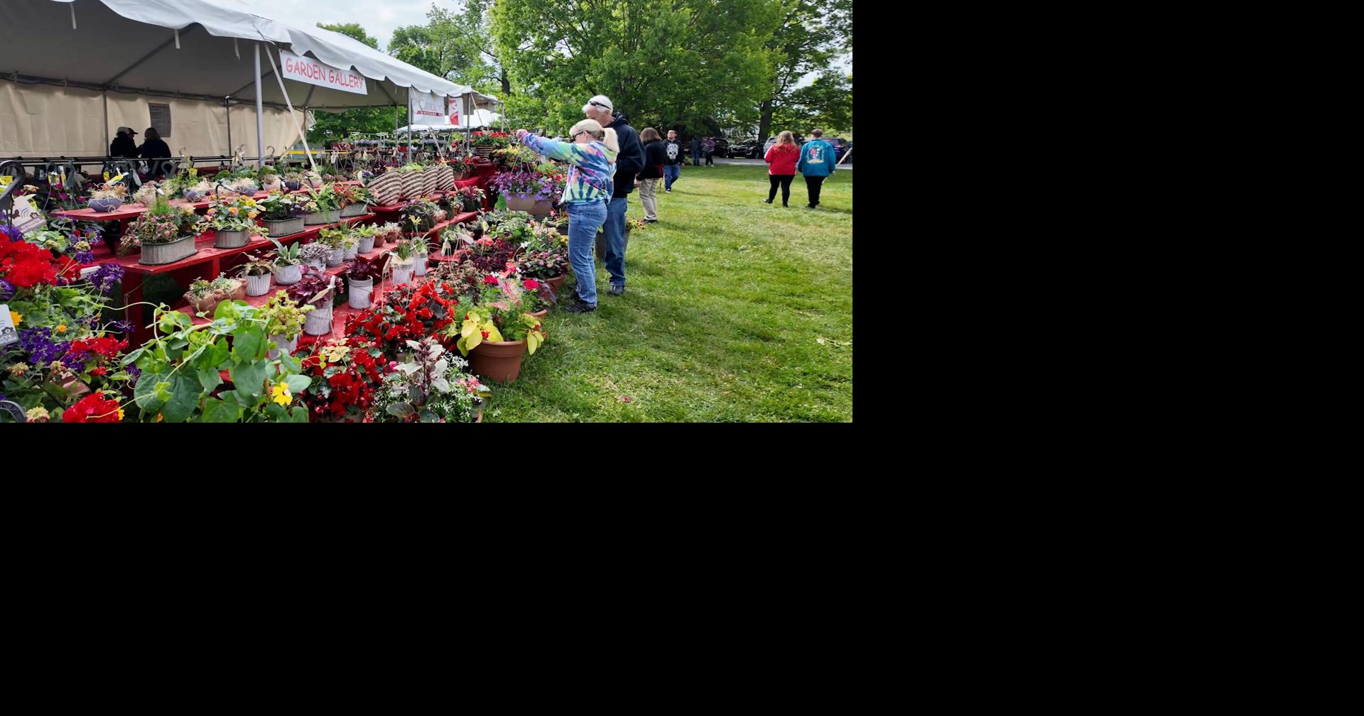 VIDEO | Flower Power on Full Display at Wilmington Flower Market