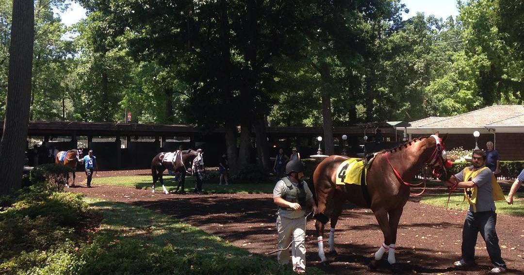 Graded stakes winners clash in 2023 Delaware Handicap - Vimarsana News