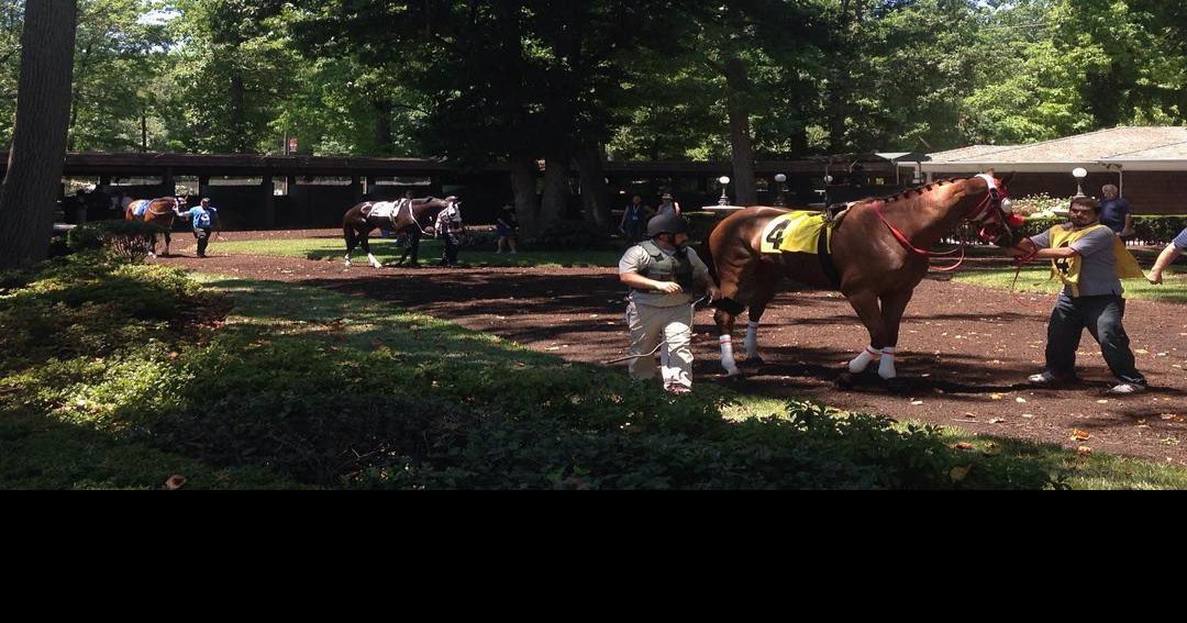 Delaware Park hopes schedule changes lead to benefits for new ownership