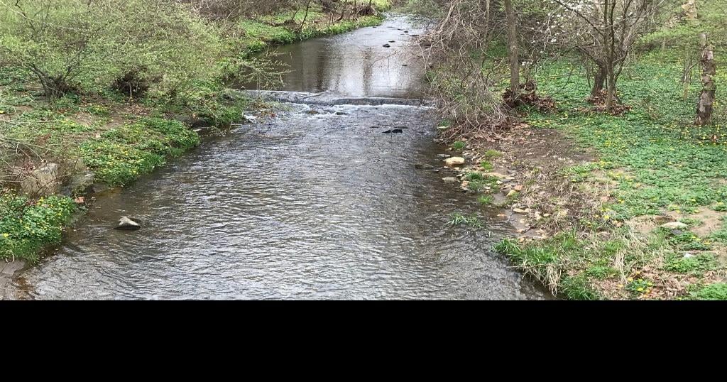 Upstate Delaware trout season opens amid coronavirus crisis The