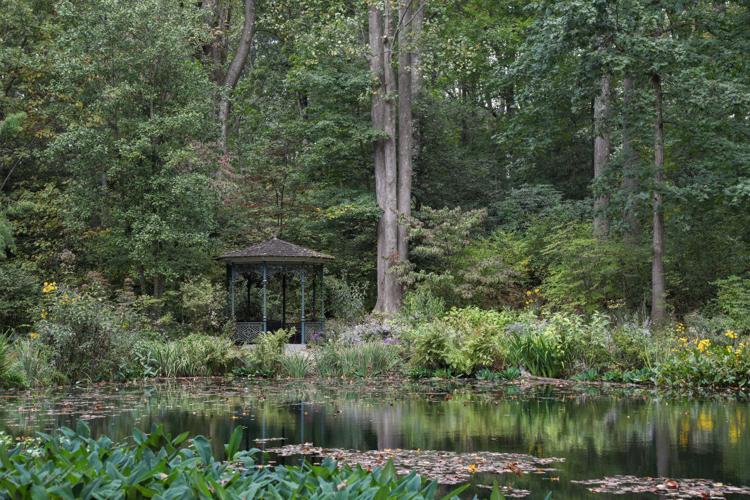 WEEKEND IN WILMINGTON: Botanical Bazaar at Mt. Cuba Center