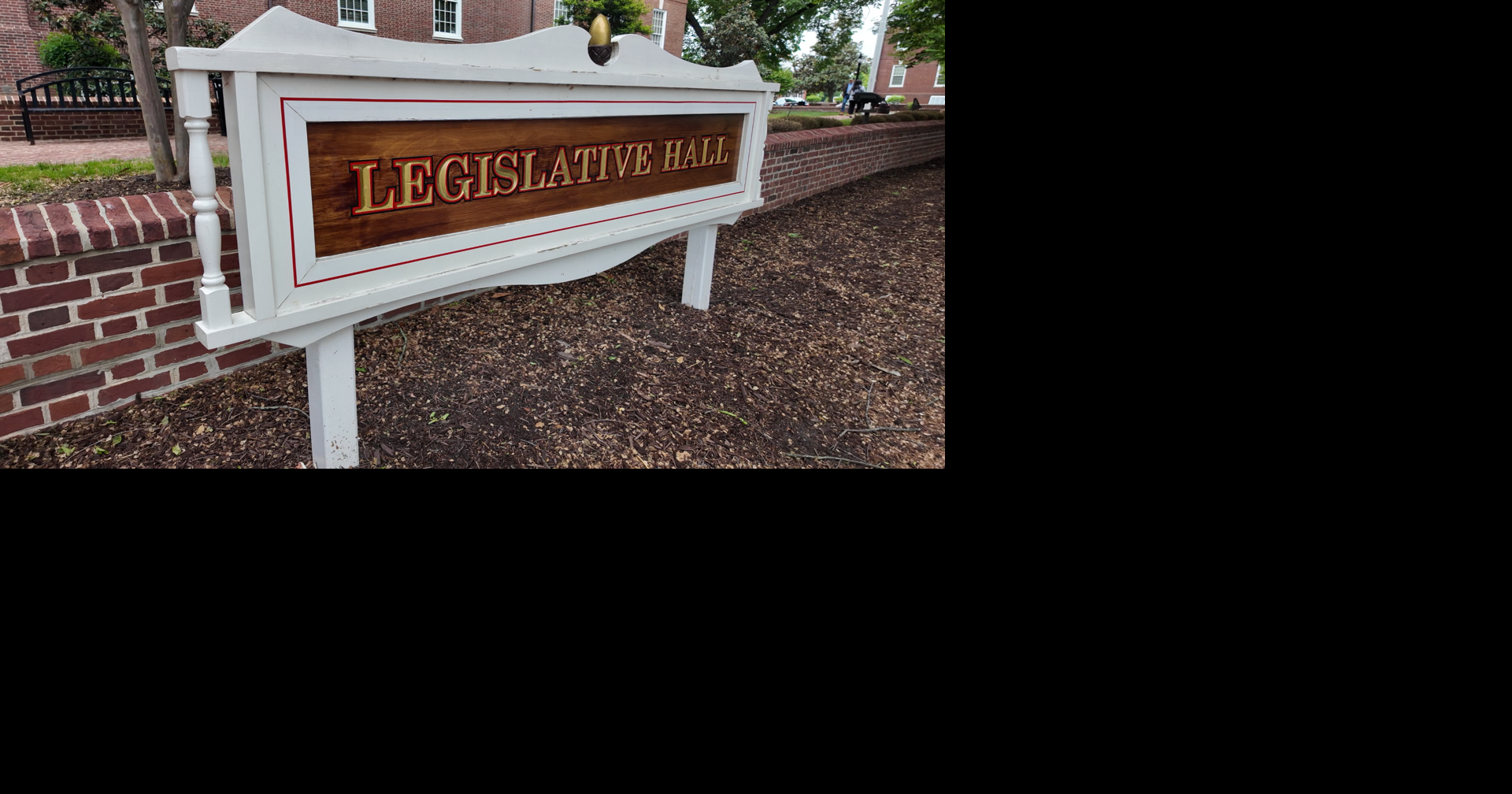 Amendment filed for Delaware Office of New Americans bill