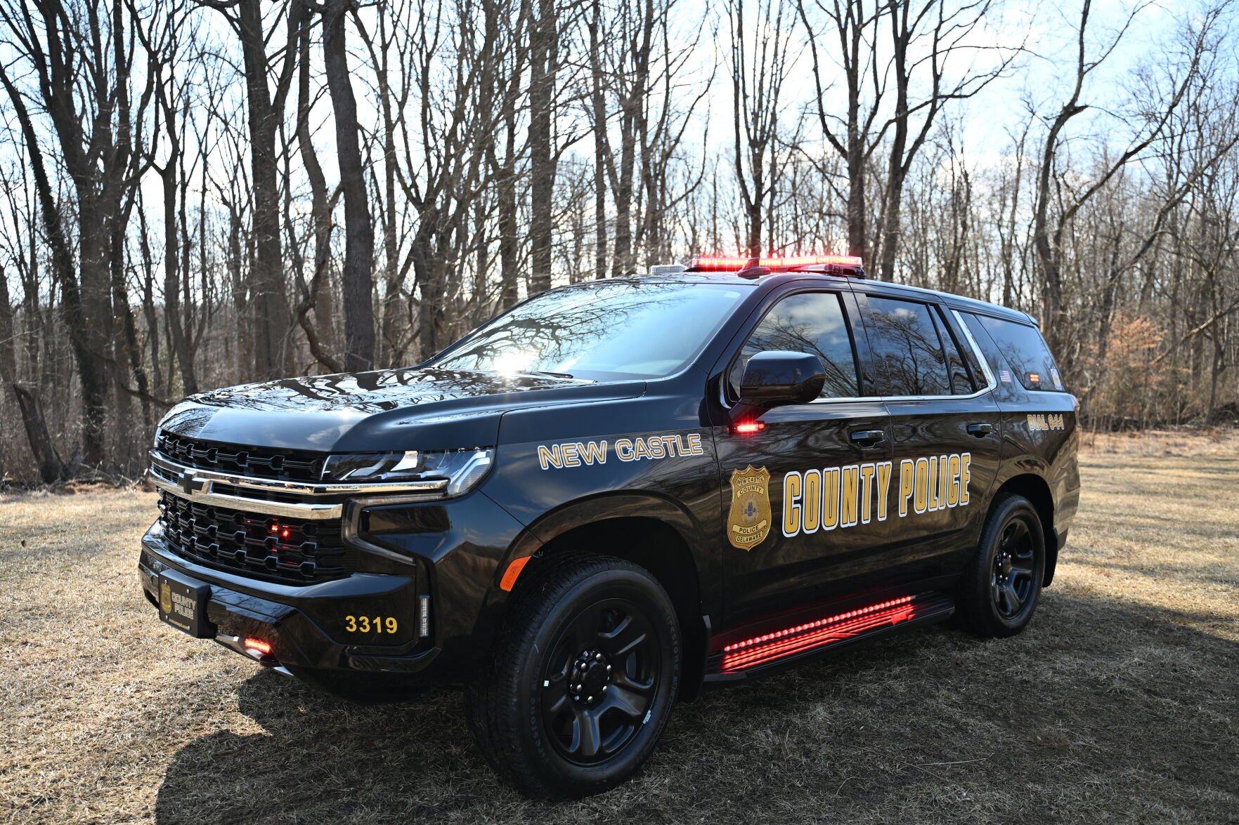 One shot overnight in Ogletown