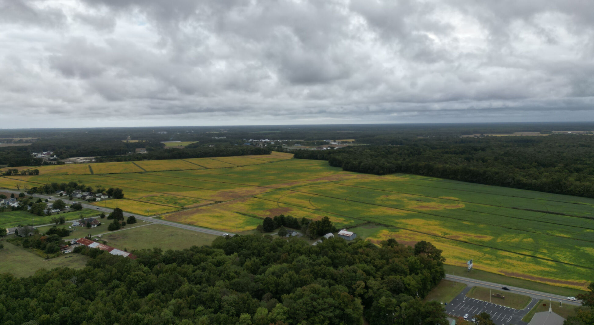 Sussex County protects acreage near Dagsboro