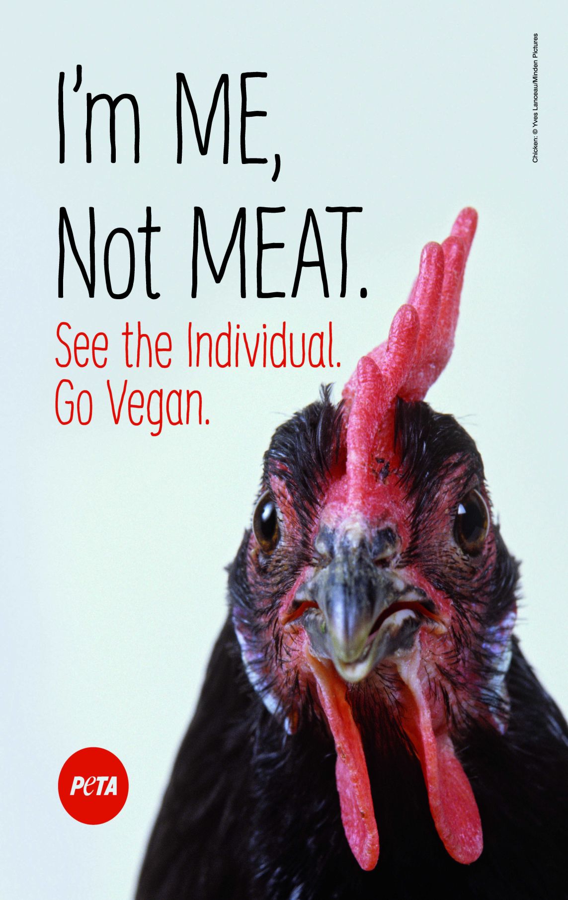 PETA plans billboard campaign near scene of recent deadly chicken truck