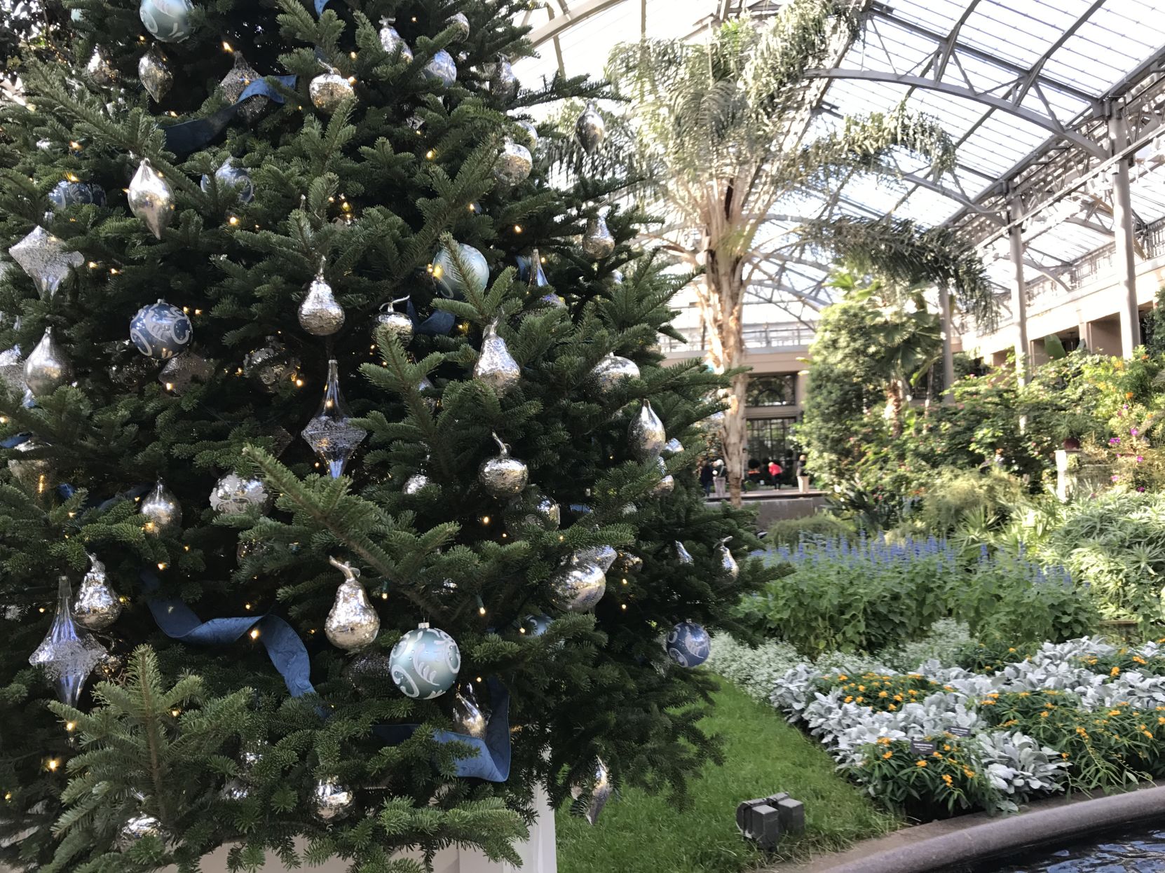 video ooh la la longwood gardens christmas show finds longwood garden christmas show