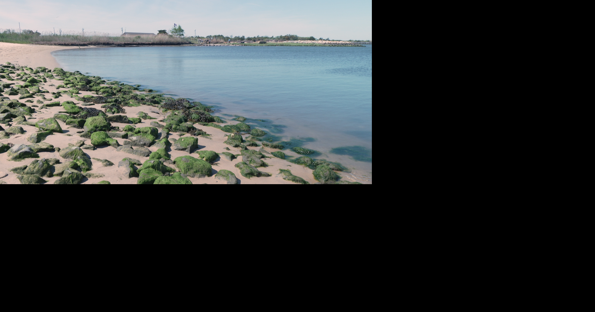 Delaware Beaches this weekend: Shanty Fest