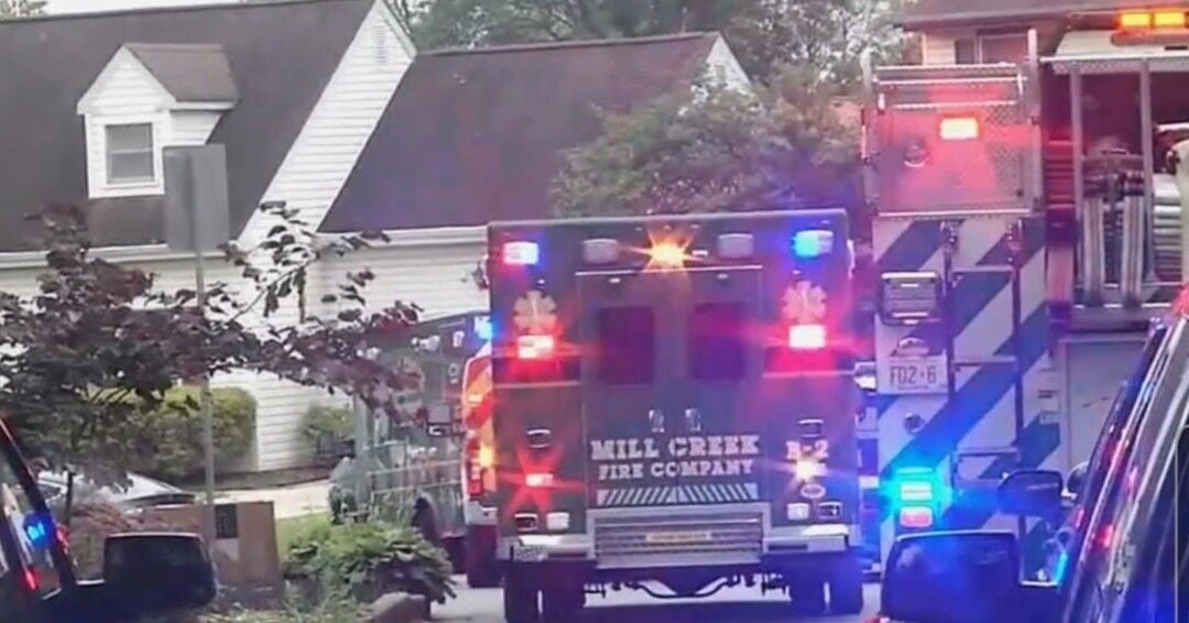 Toddler rescued from near drowning