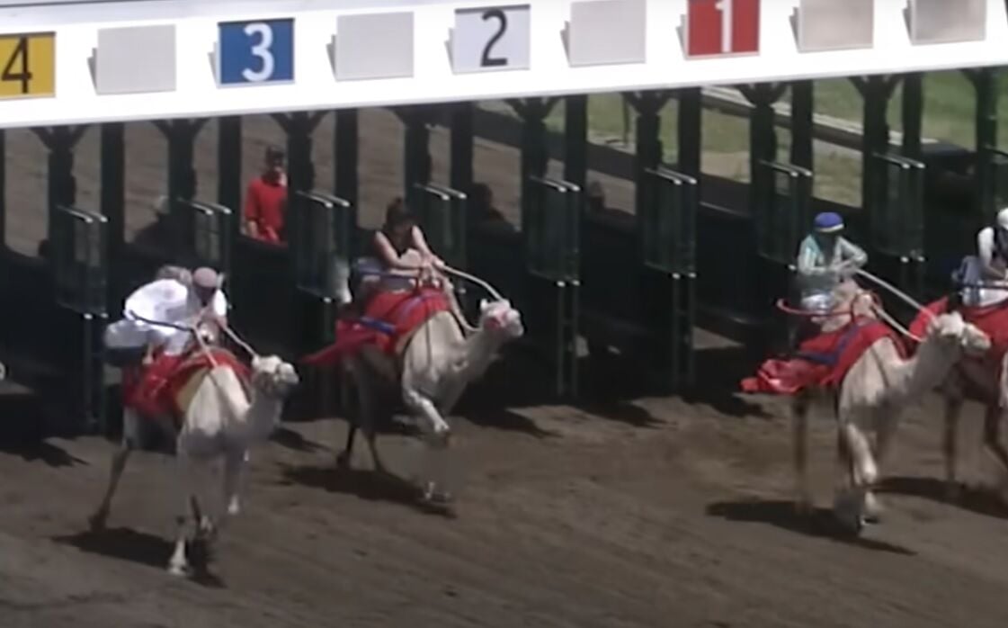 Delaware Park to host races of different breeds Friday