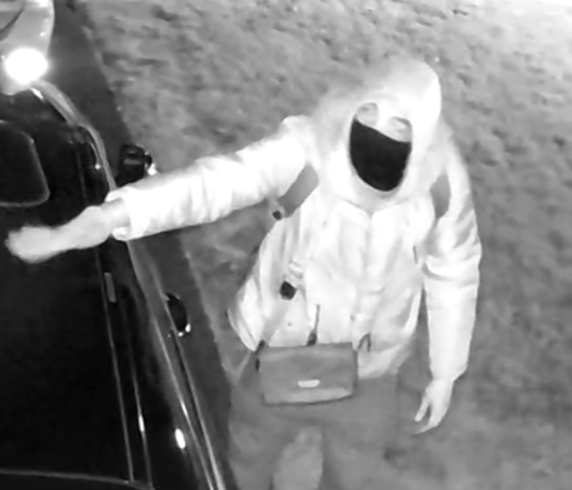 VIDEO | Caught on Camera: Police investigate series of thefts