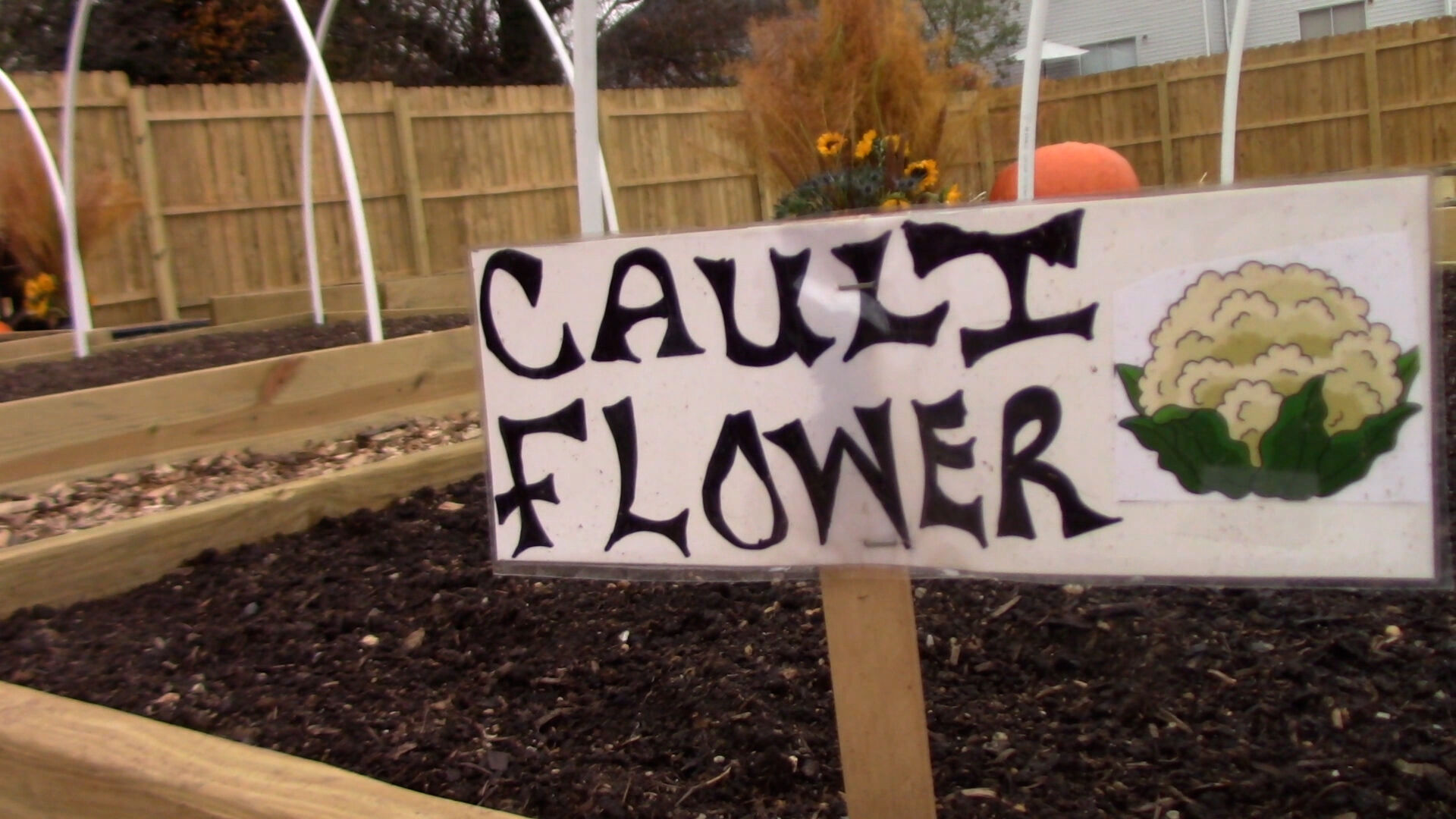 VIDEO | Feeding the Claymont Community – new market and garden now open