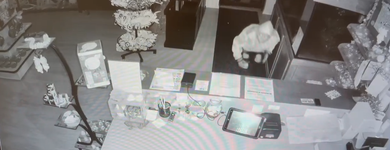 Axolotl Extinction Amphibian abduction: Axolotl reported stolen from Dover aquatics store ...