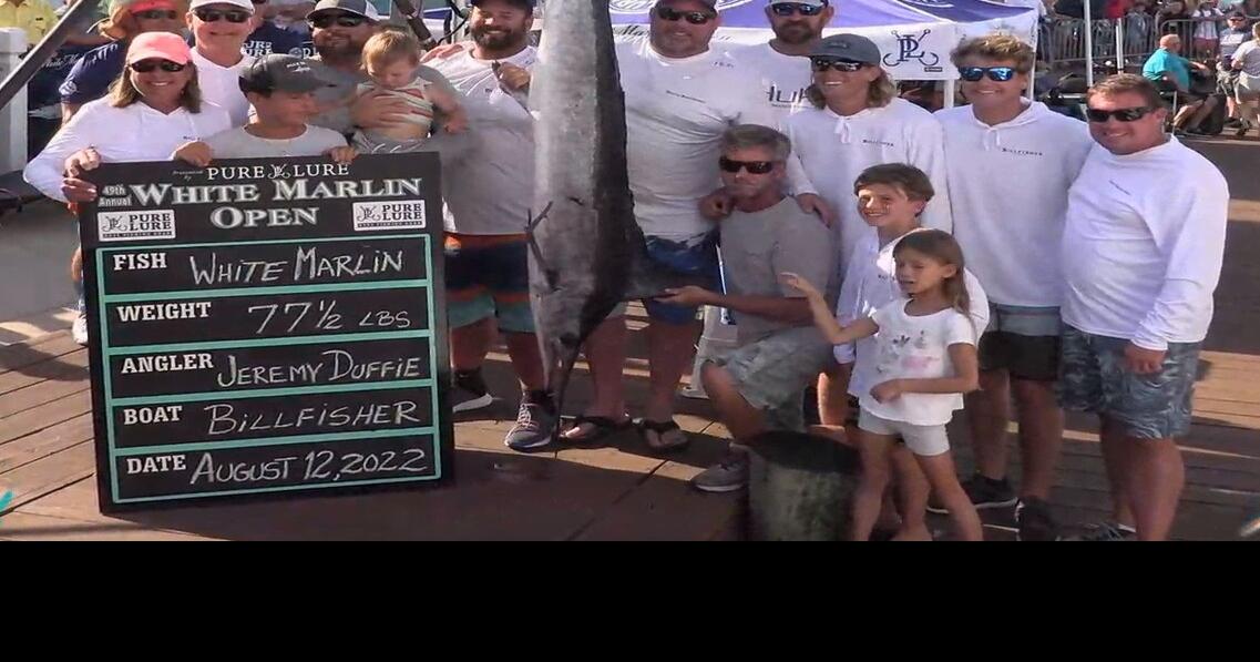 The first white marlin of the tournament! Falling just short in