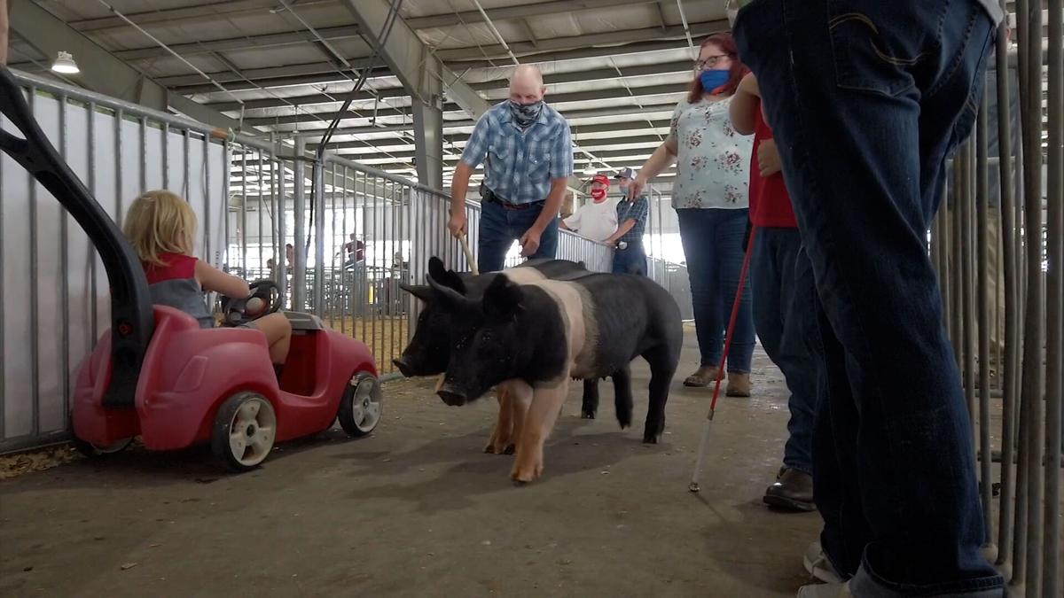 The Delaware State Fair is underway in Harrington The Latest from