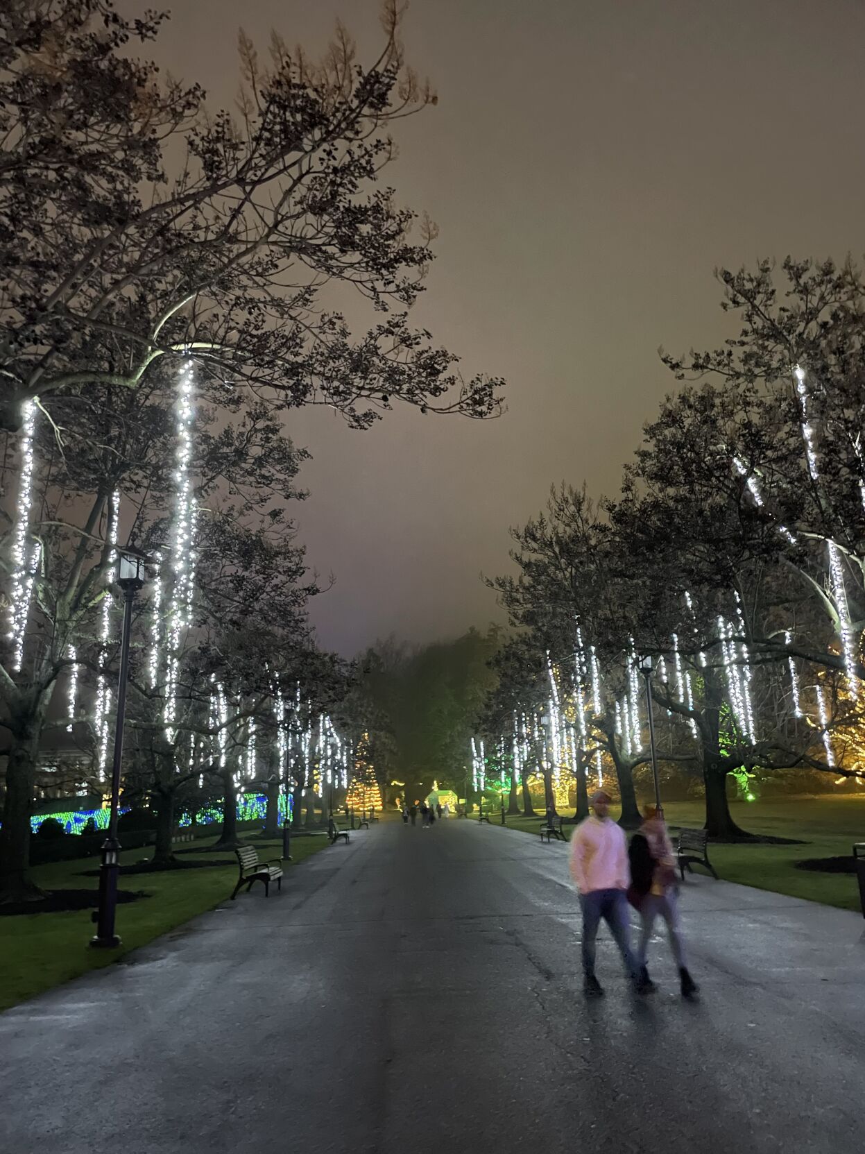 “Longwood: Reimagined” opening in time for “A Longwood Christmas”