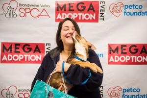 Mega pet adoption returns to the state fairgrounds