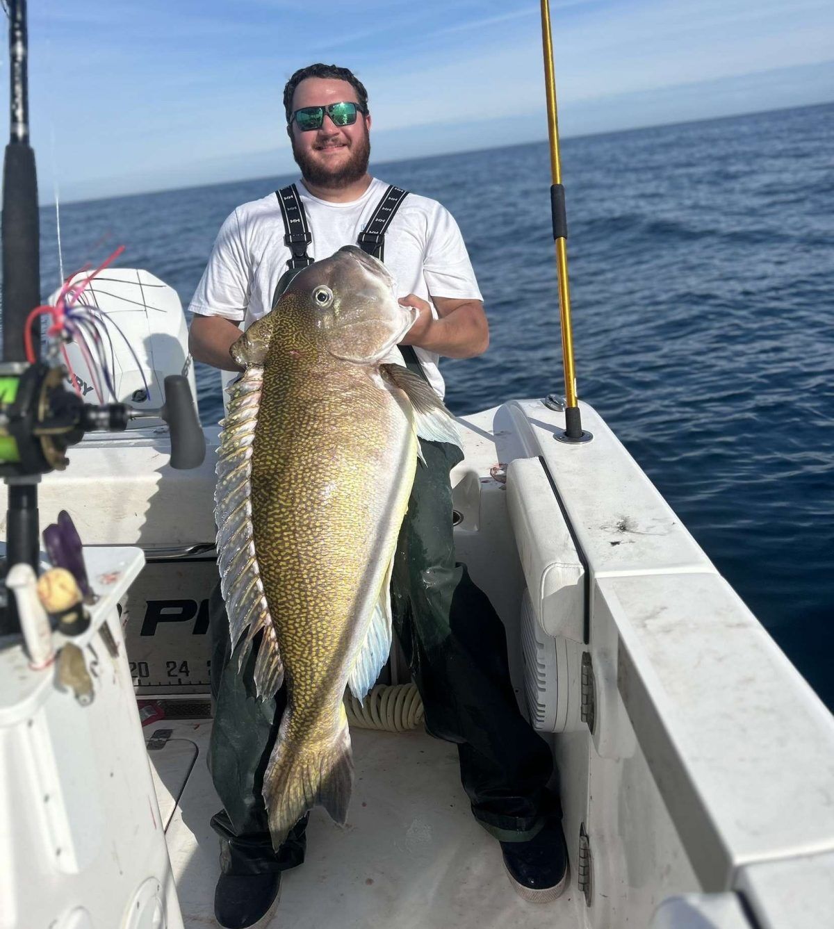 A new gold standard for Golden Tilefish