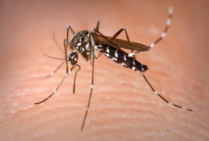 Three New Cases Of West Nile In Mississippi