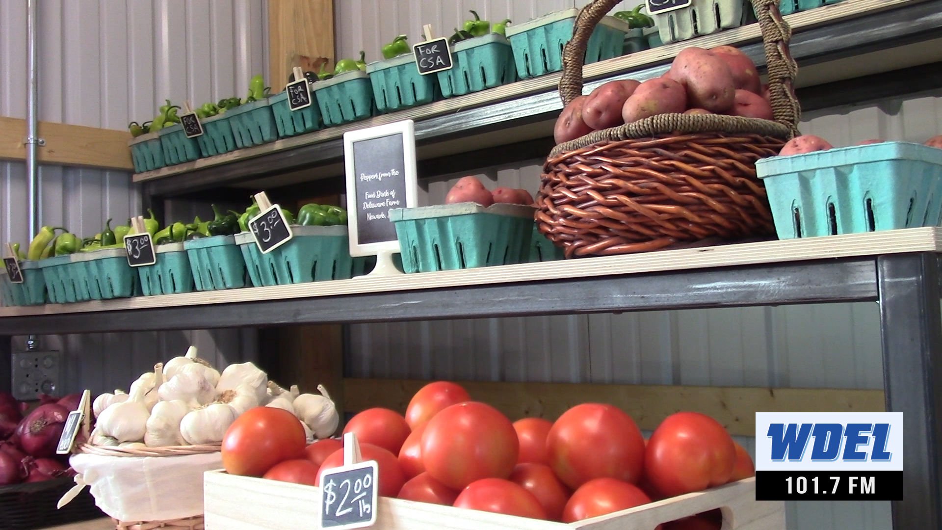 Gov. Meyer forms “Food is Medicine” Committee