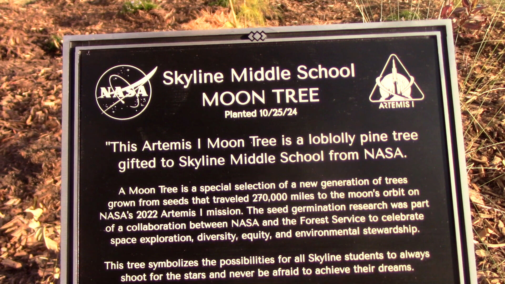 VIDEO | Moon Tree takes root at Skyline Middle School