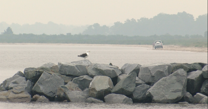 Smoky skies, poor air quality prompt Delawareans to take precautions amid summer heat