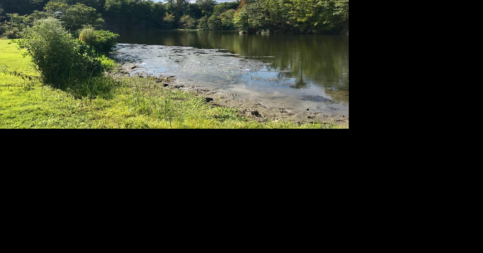 VIDEO SUEZ Delaware Operations 'mussels' in to give Delawareans