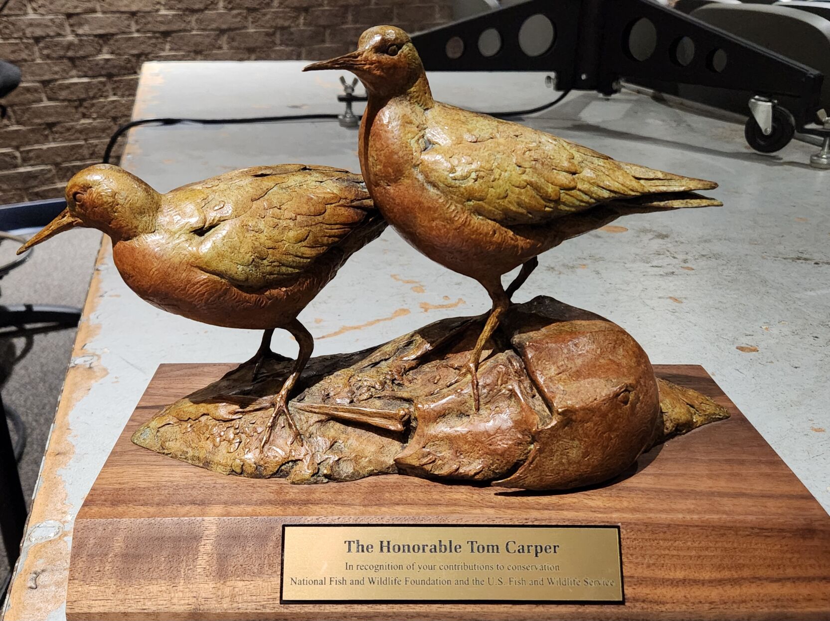 Sculpture presentation honors Carper’s conservation efforts