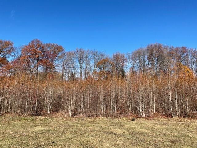Del. lifts outdoor burn ban