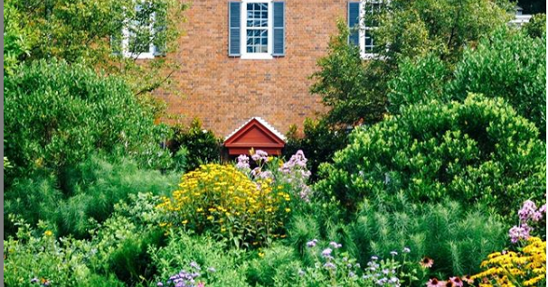 Mt. Cuba Center Celebrates Wildflowers in Bloom this weekend