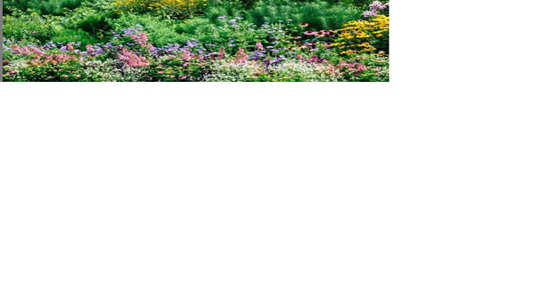 Mt. Cuba Center Celebrates Wildflowers in Bloom this weekend