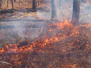Wildfire in South Jersey forest now 45-percent contained
